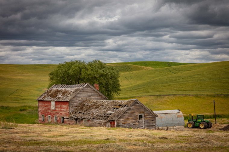 017 Palouse.jpg